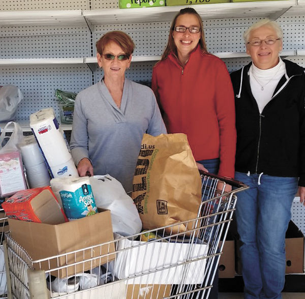 Tama County 4H Clubs collect food for local food banks News, Sports